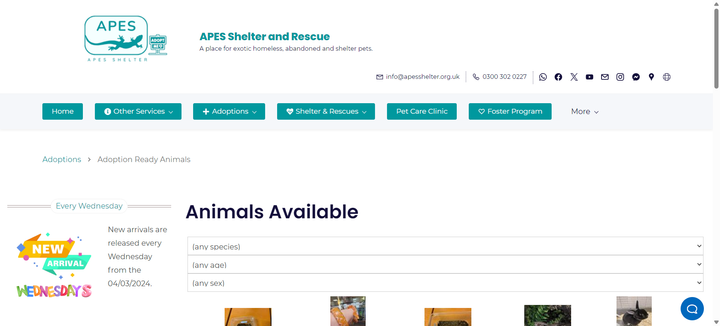 Exciting Updates on the APES Shelter & Rescue Website!