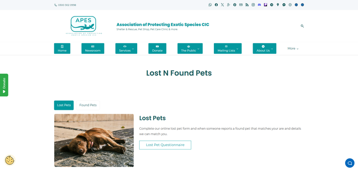 Lost & Found, Levelled Up: You Can Now Add Photos 🐾